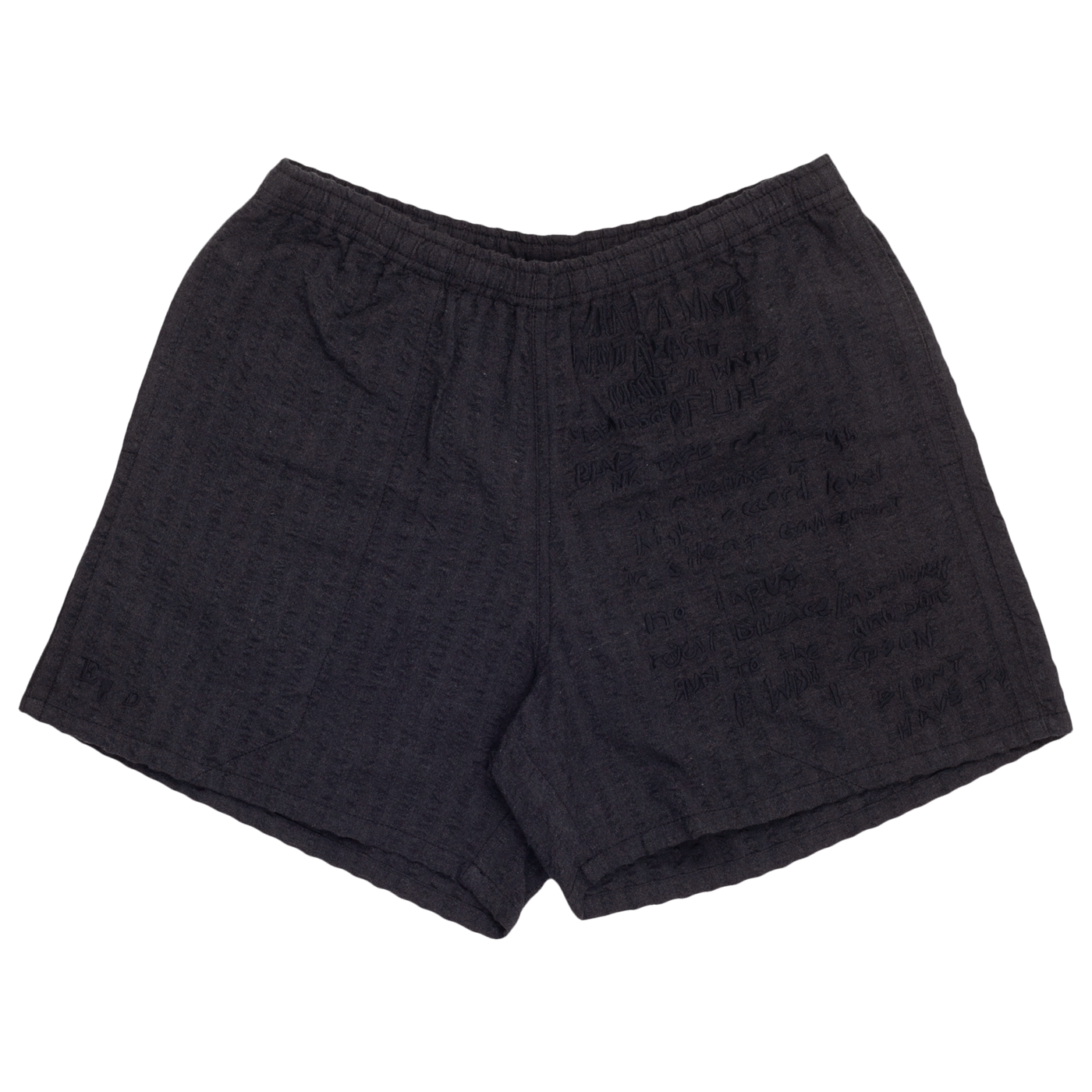 ERD Embroidery Shorts
